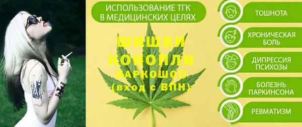 PSILOCYBIN Баксан