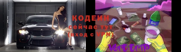 прущий лед Новозыбков