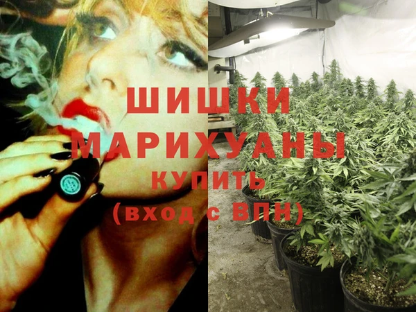 прущая мука Новодвинск