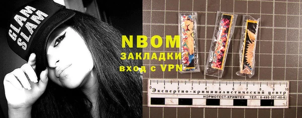 прущий лед Новозыбков