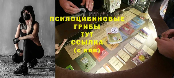 прущий лед Новозыбков