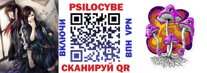 Псилоцибиновые грибы Psilocybine cubensis  Тулун 